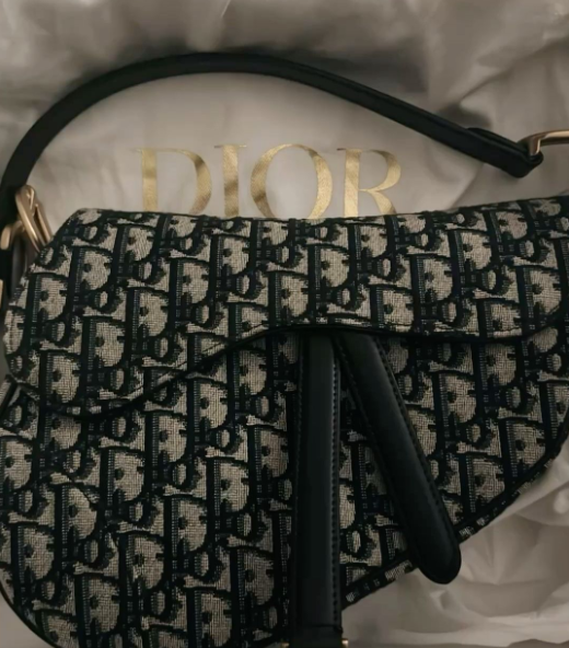 Top Affordable Luxury Bags Similar to the Dior Saddle Bag