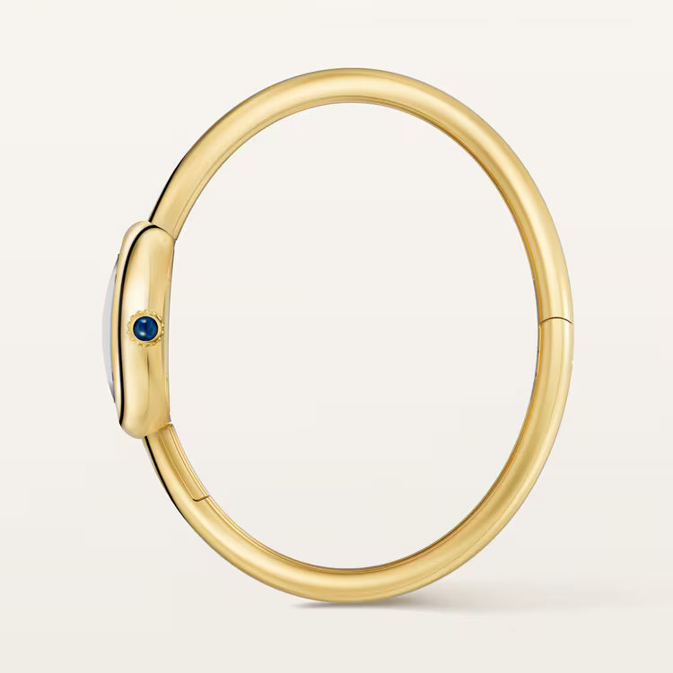 Elegant Oval Luxury Watch
