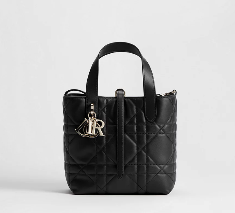 Toujours Bag