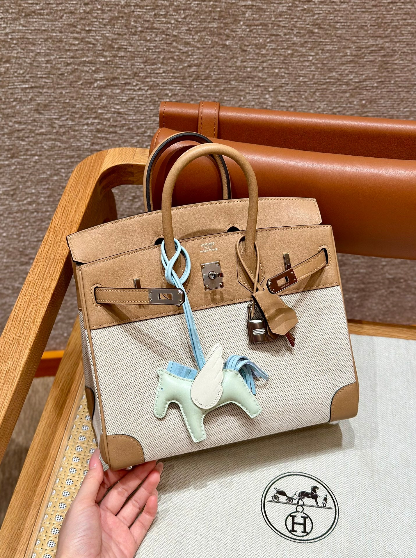 Birkin 25 Canvas Bag