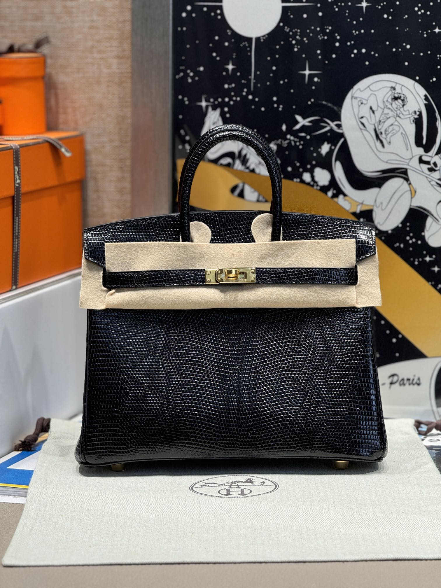 Birkin 25 Lizard Leather Bag