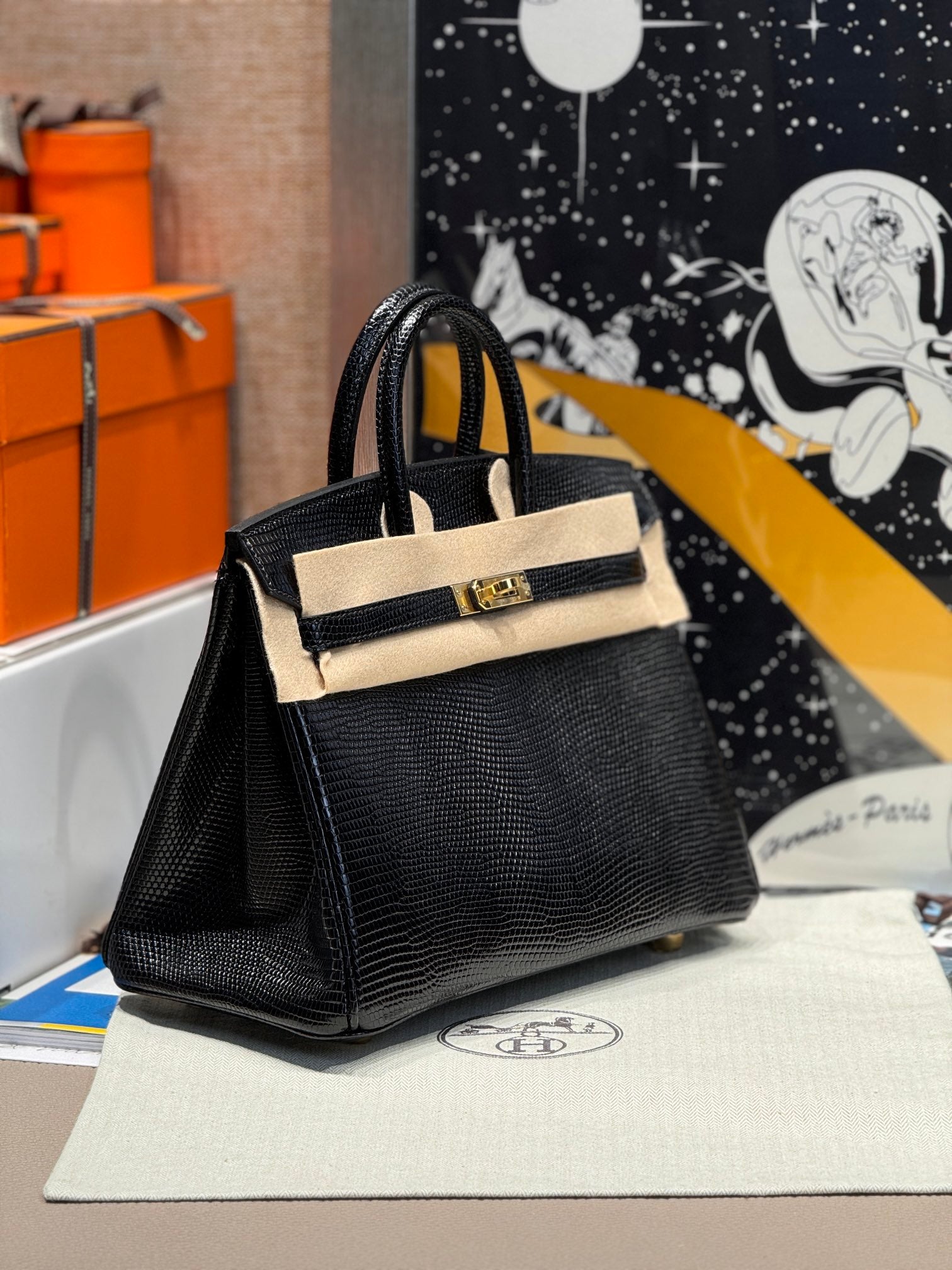 Birkin 25 Lizard Leather Bag