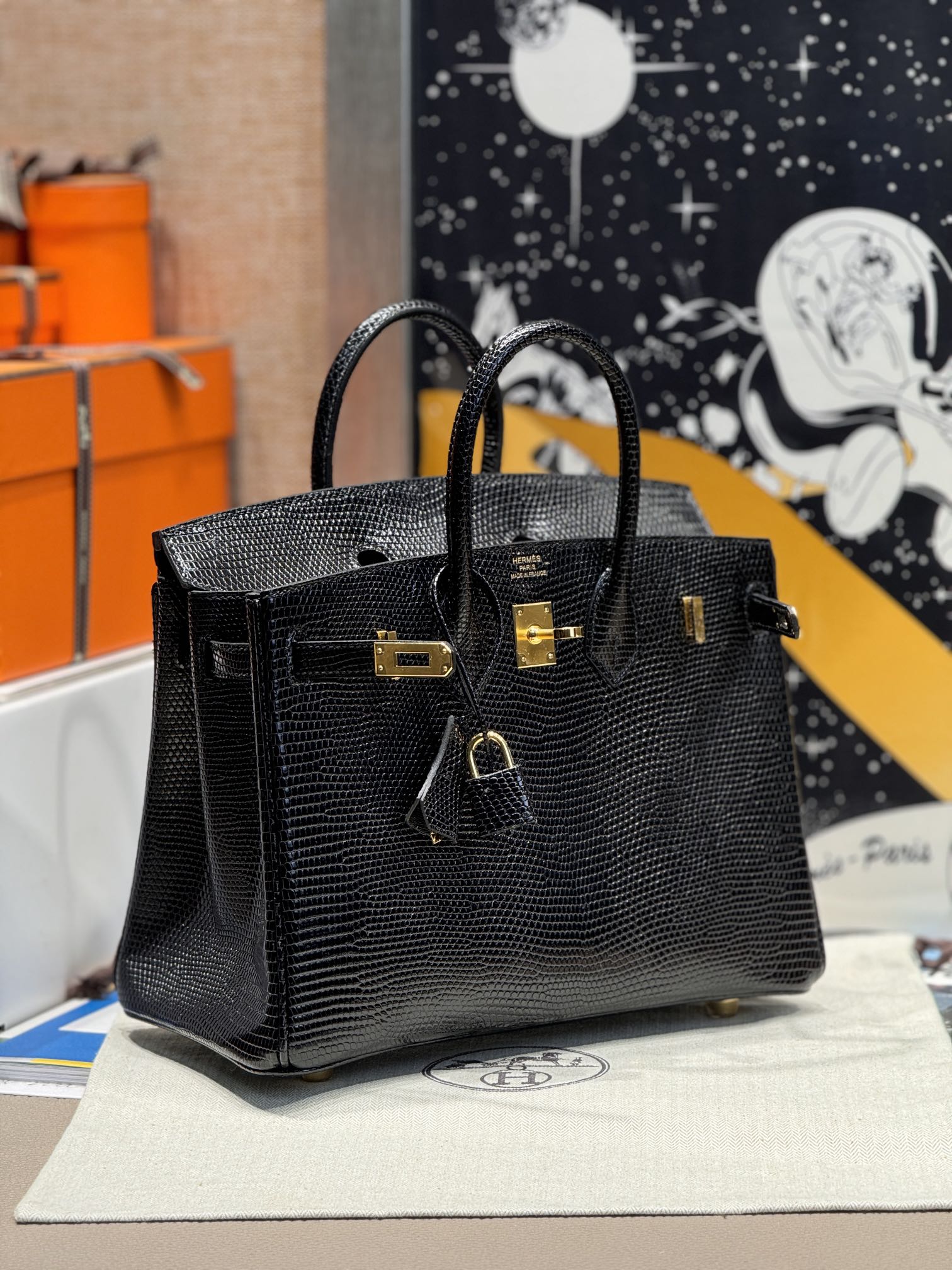 Birkin 25 Lizard Leather Bag