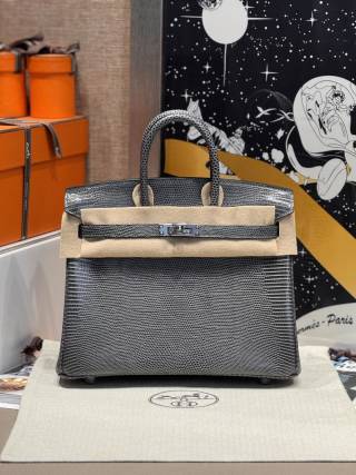 Birkin 25 Lizard Leather Bag
