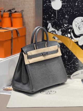 Birkin 25 Lizard Leather Bag