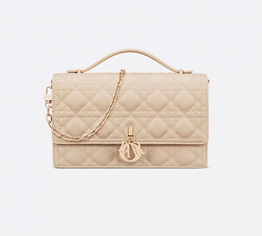 leather crossbody mini bag