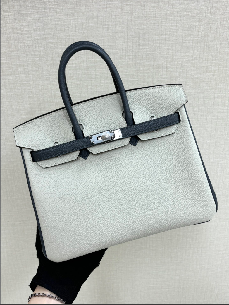 birkin 25