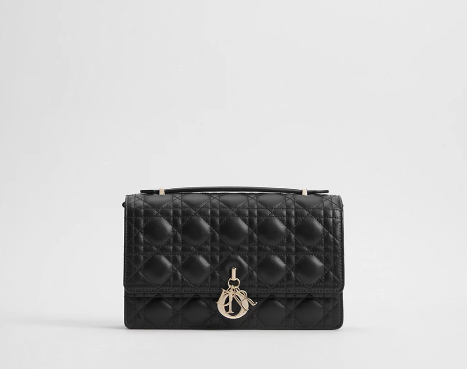 leather crossbody mini bag