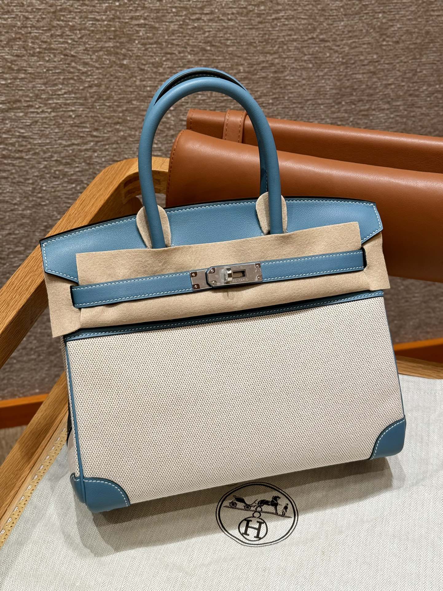 Birkin 25 Canvas Bag